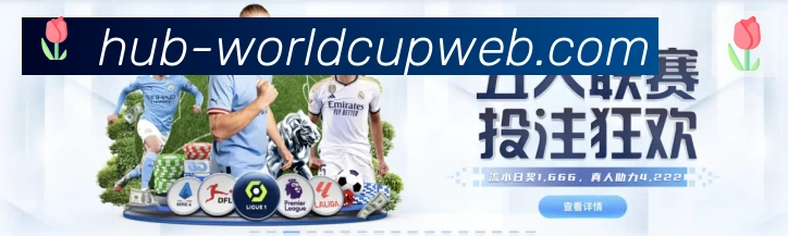 2026世界杯买球入口平台生态图